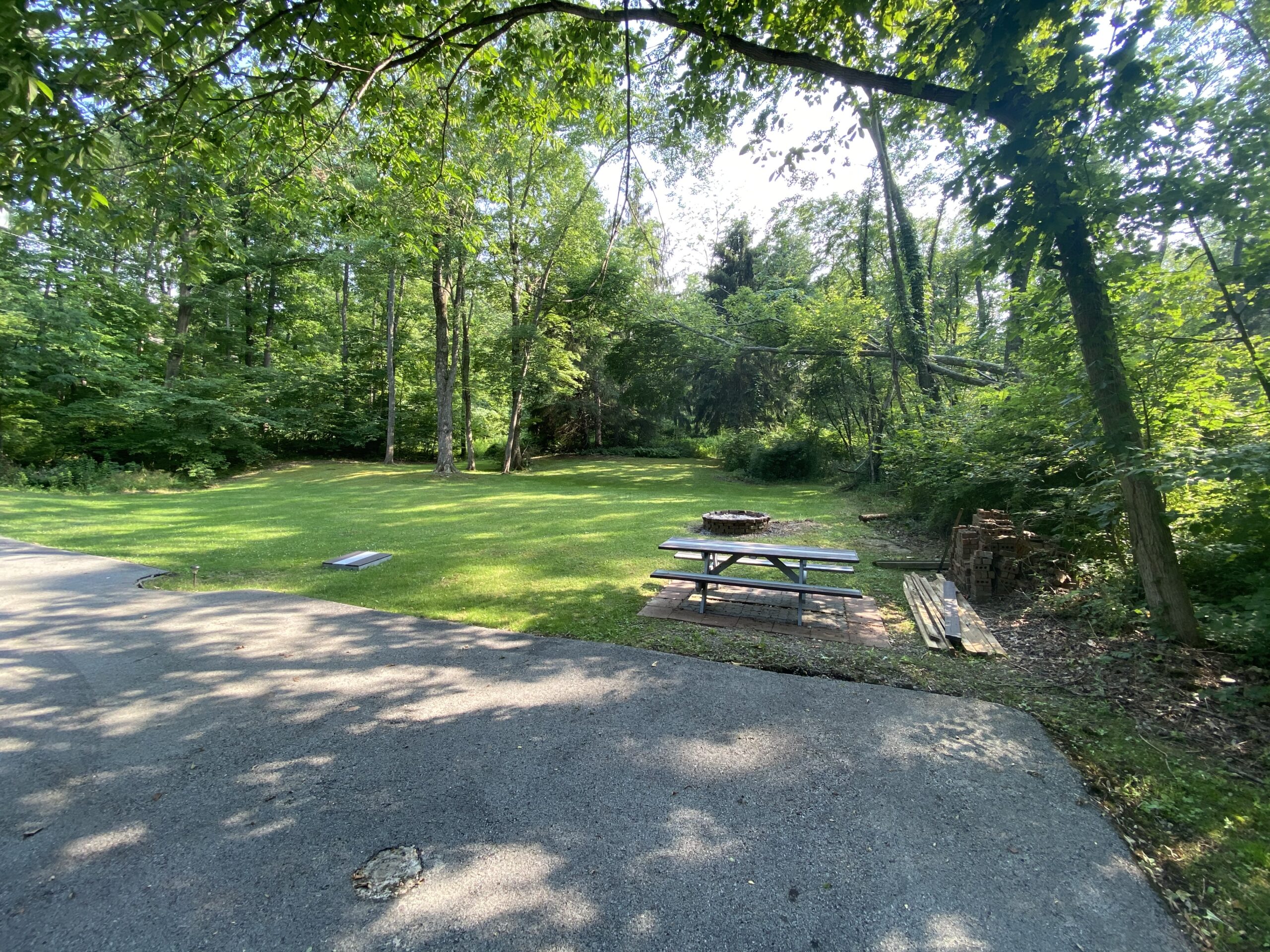 About Us - Karbelle Cabin Opening to Pines